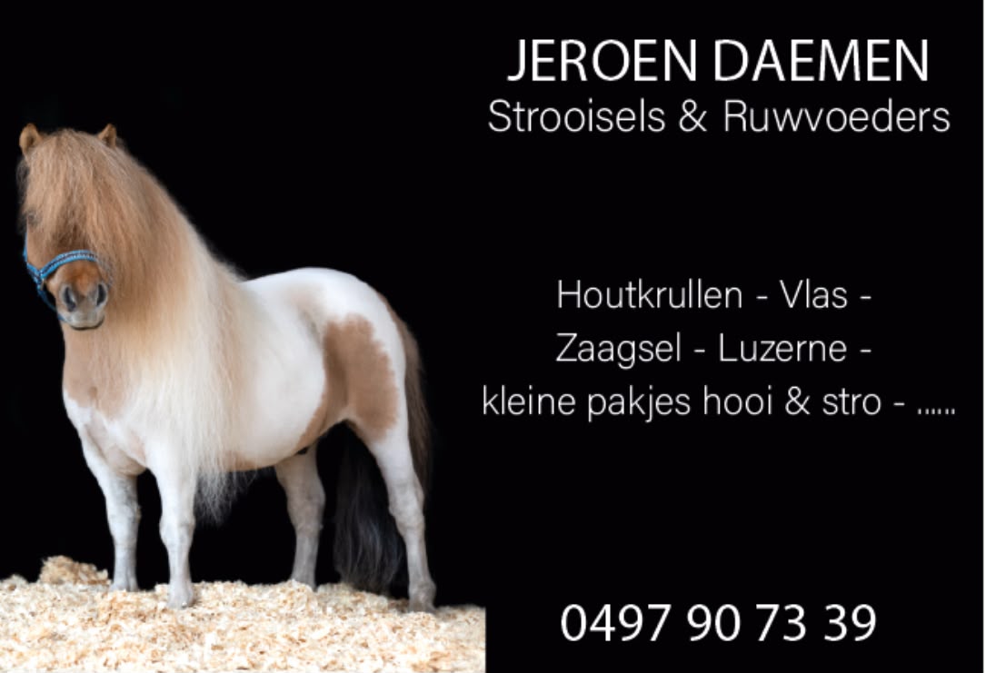 Jeroen Daemen
