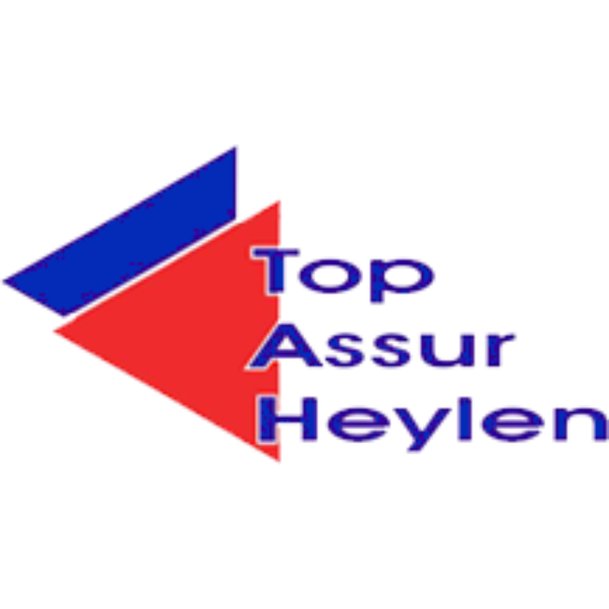 Top Assur Heylen