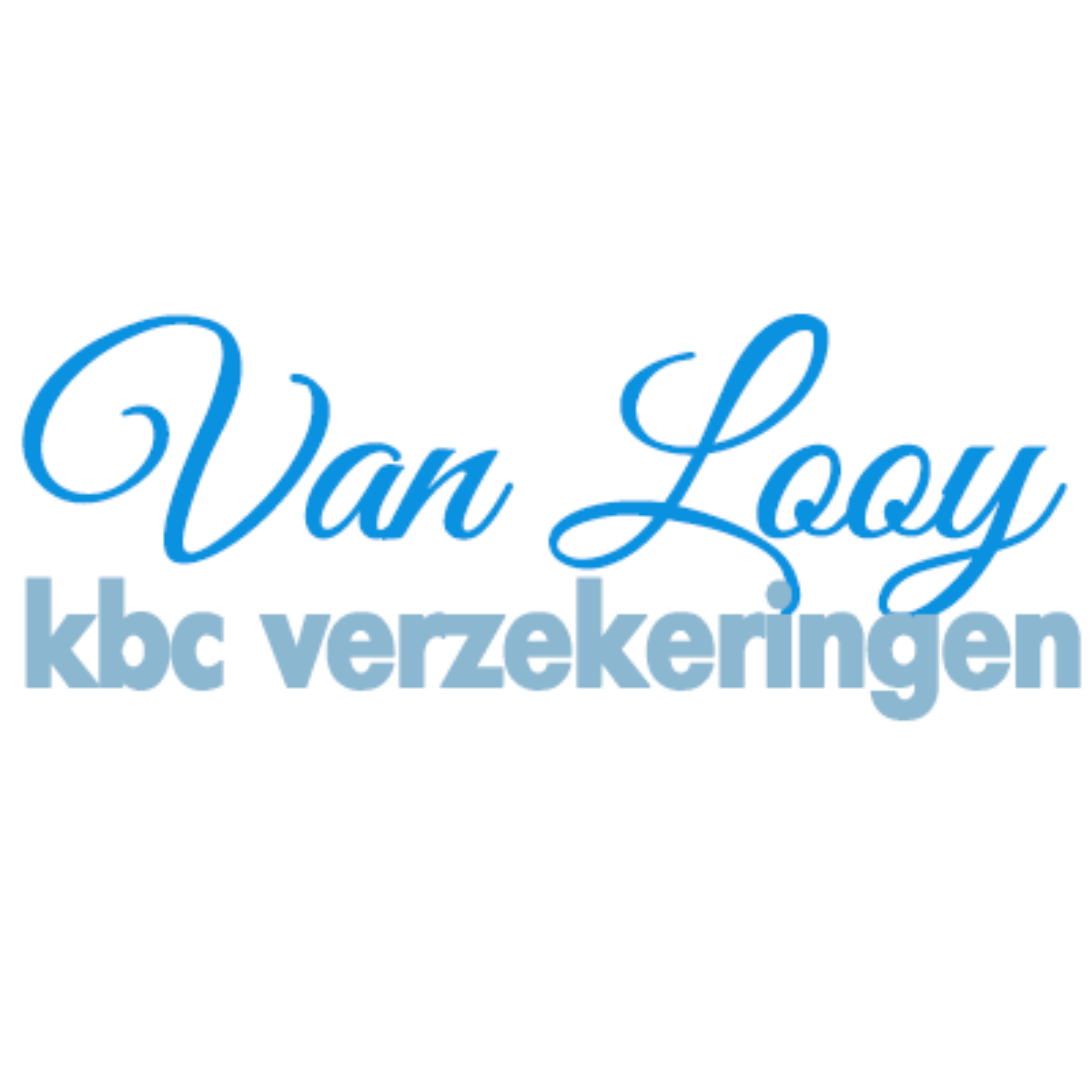 Van Looy verzekeringen