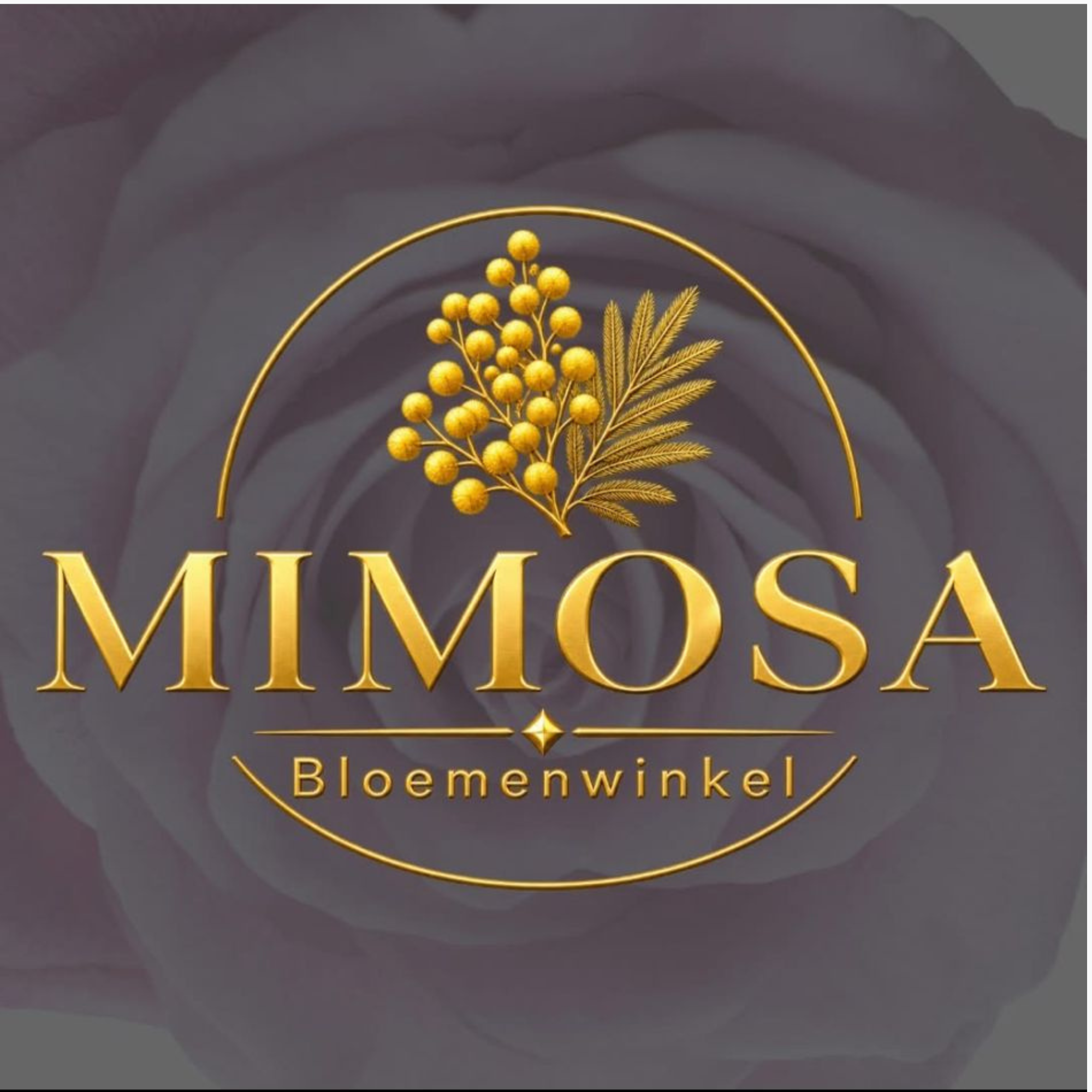 Mimosa